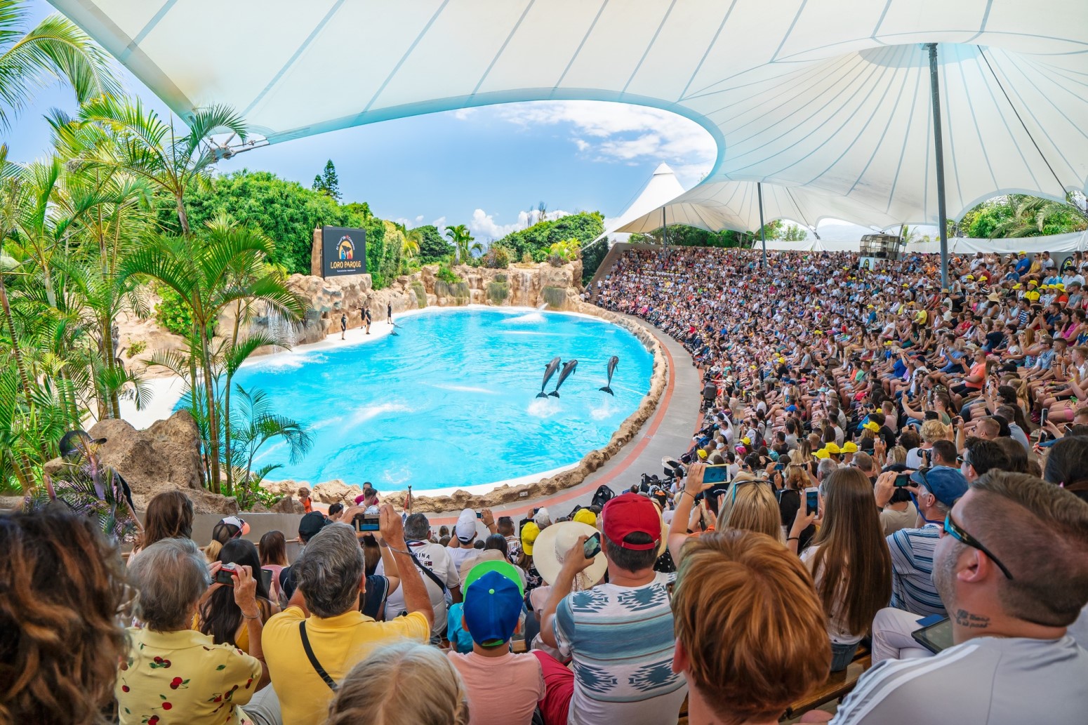 escapada a tenerife en familia